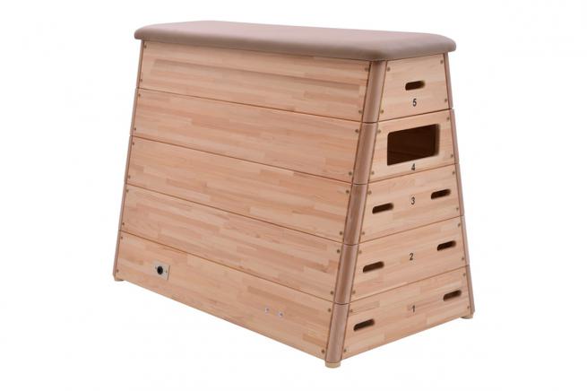 SPRUNGKASTEN 5-TEILIG, TRAPEZFÖRMIG, NATURLEDER, MIT TRANSPORTWAGEN (1)