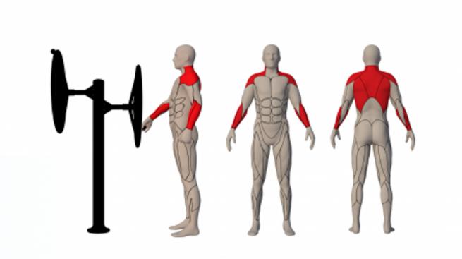 TAI-CHI-RÄDER (RUDER) (2)