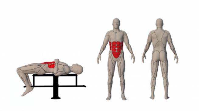 BAUCHBANK GERADE (2)