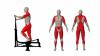 mini: CROSSTRAINER (2)